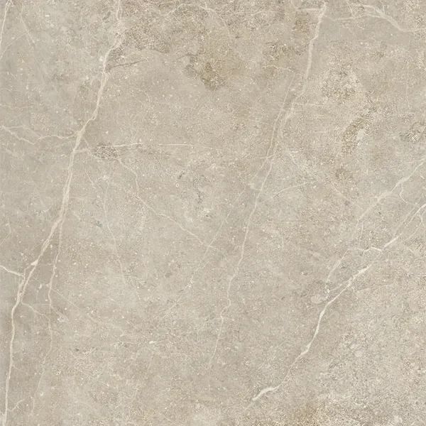Изображение товара Плитка ProGres Ариадна NR0419K (600x600, тауп)