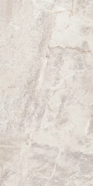 Изображение товара Плитка ProGres Eco NR0173К (600x1200, серый)