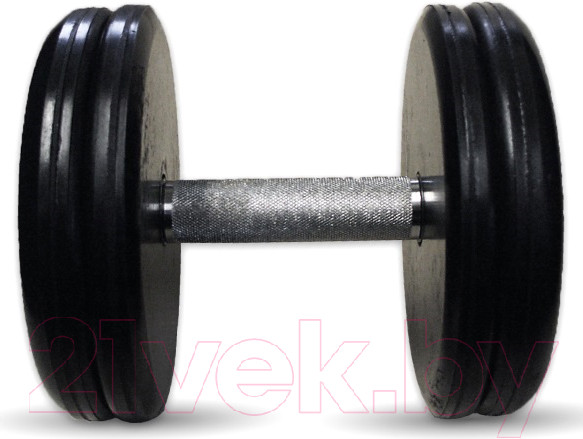 Изображение товара Гантель MB Barbell Классик (19кг, хром)