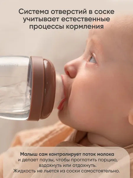 Изображение товара Набор сосок Paomma Для бутылочки из силикона L 6-9 мес (2шт)