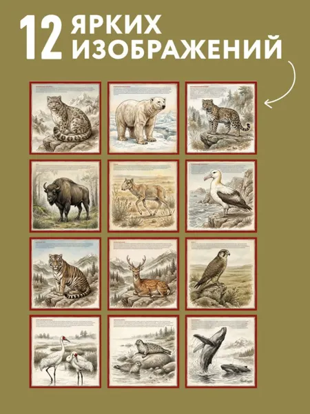 Изображение товара Календарь настенный Эксмо Красная книга России. 2027 год (9785042392801)