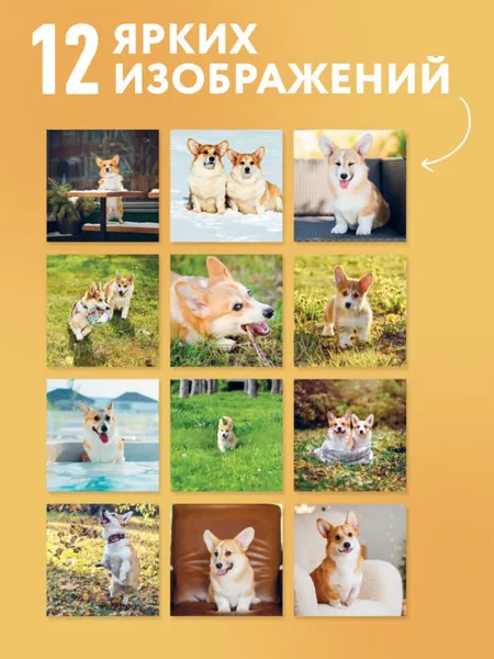 Изображение товара Календарь настенный Эксмо Очаровательные корги. 2027 год (9785042472008)