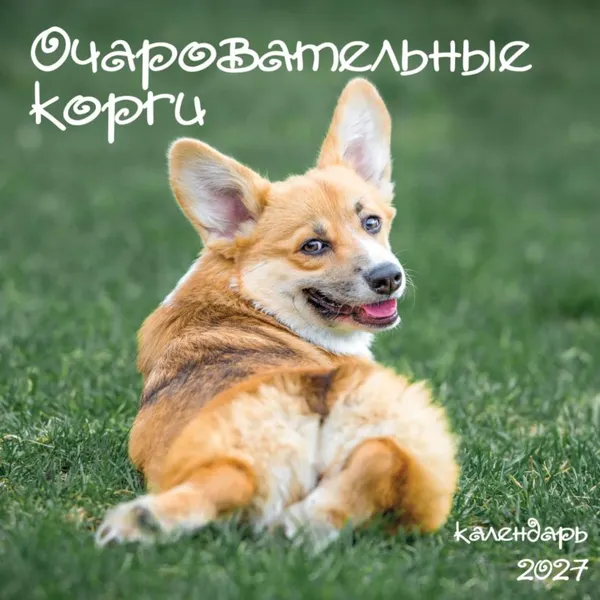 Изображение товара Календарь настенный Эксмо Очаровательные корги. 2027 год (9785042472008)