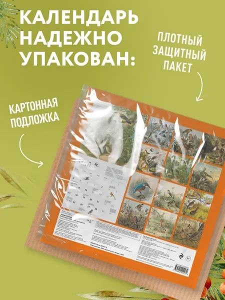 Изображение товара Календарь настенный Эксмо Птицы России: когда ждать, где искать, как отличать. 2027 год (9785042402272)