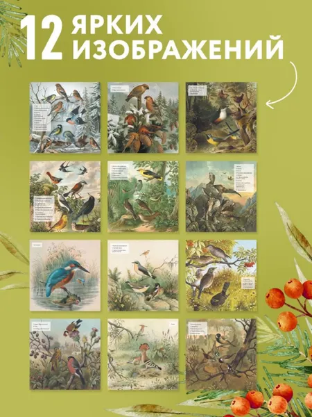 Изображение товара Календарь настенный Эксмо Птицы России: когда ждать, где искать, как отличать. 2027 год (9785042402272)