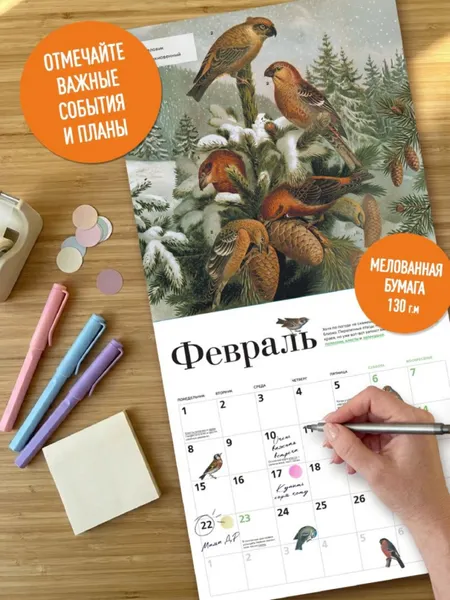 Изображение товара Календарь настенный Эксмо Птицы России: когда ждать, где искать, как отличать. 2027 год (9785042402272)