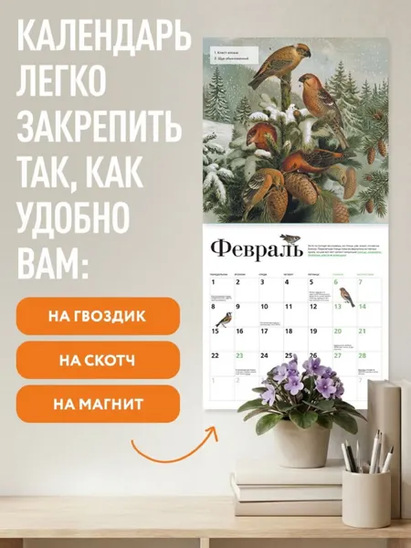Изображение товара Календарь настенный Эксмо Птицы России: когда ждать, где искать, как отличать. 2027 год (9785042402272)