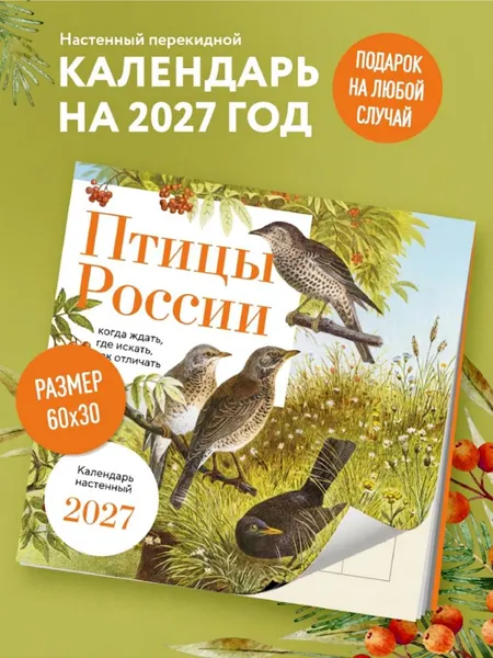 Изображение товара Календарь настенный Эксмо Птицы России: когда ждать, где искать, как отличать. 2027 год (9785042402272)