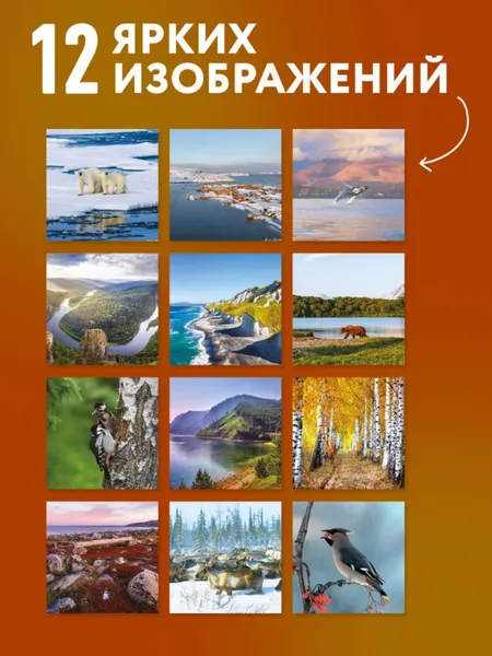 Изображение товара Календарь настенный Эксмо Русская природа. На 16 месяцев 2027 года (Олейник Д. 9785042399640)