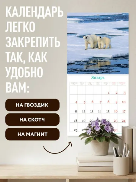 Изображение товара Календарь настенный Эксмо Русская природа. На 16 месяцев 2027 года (Олейник Д. 9785042399640)
