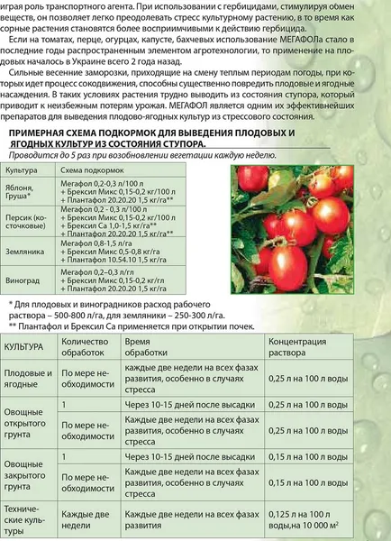 Изображение товара Удобрение Valagro Megafol (1л)