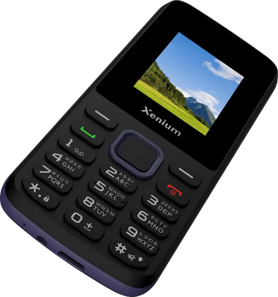 Изображение товара Мобильный телефон Xenium L170 / CTL170BK/00 (черный)
