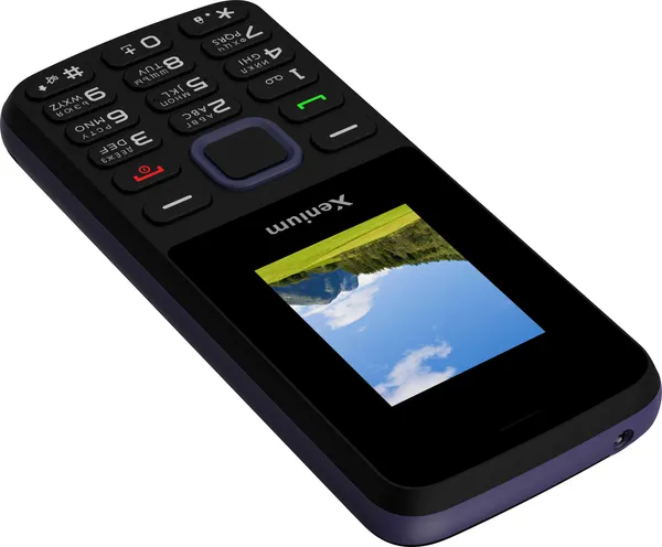 Изображение товара Мобильный телефон Xenium L170 / CTL170BK/00 (черный)