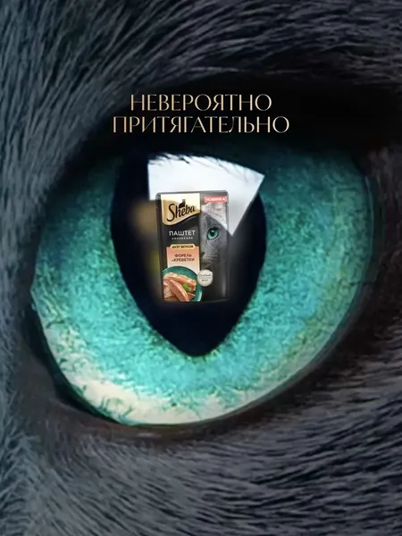 Изображение товара Влажный корм для кошек Sheba Для взрослых кошек Паштет в желе. Форель креветка (75г)