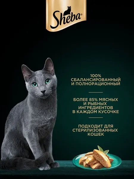 Изображение товара Влажный корм для кошек Sheba Для взрослых кошек Паштет в желе. Форель креветка (75г)