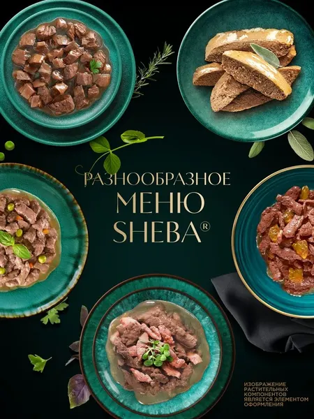 Изображение товара Влажный корм для кошек Sheba Для взрослых кошек Паштет в желе. Форель креветка (75г)