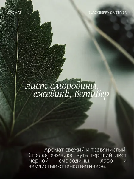 Изображение товара Мыло жидкое LAMONNET Лист смородины и ветивер (300мл)