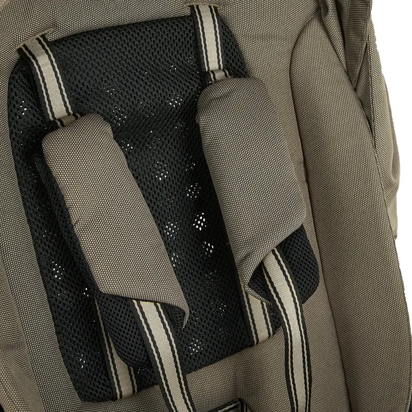 Изображение товара Детская прогулочная коляска Pituso Carbon Rx X-666 (Tuareg Beige)
