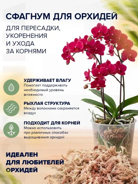 Изображение товара Субстрат BOTANICA Мох Сфагнум Чили (500г)