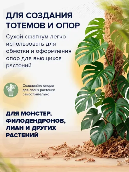 Изображение товара Субстрат BOTANICA Мох Сфагнум Чили (500г)