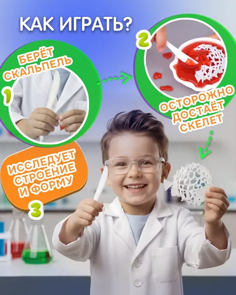 Изображение товара Набор для опытов 1Toy Lab БИОсфера Познавательная анатомия Рыба-еж / Т26727