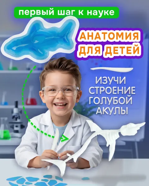 Изображение товара Набор для опытов 1Toy Lab БИОсфера Познавательная анатомия Голубая акула / Т26730
