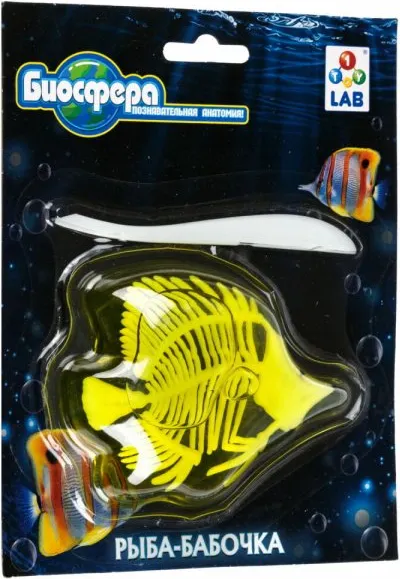 Изображение товара Набор для опытов 1Toy Lab БИОсфера Познавательная анатомия Рыба-бабочка / Т26728