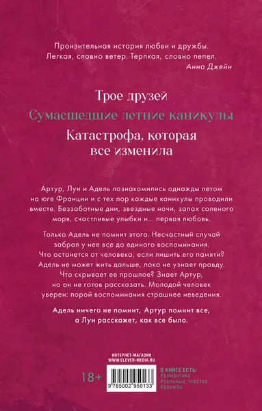Изображение товара Художественная книга CLEVER Артур, Луи и Адель, твердая обложка (Делон Дана)