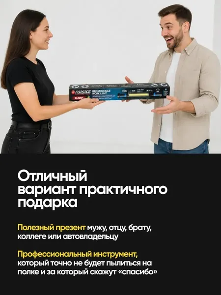 Изображение товара Фонарь Forsage F-EL2201 (67620)