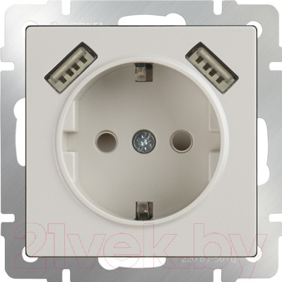 Изображение товара Розетка Werkel WL03-SKGS-USBx2-IP20 / a033476 (слоновая кость)