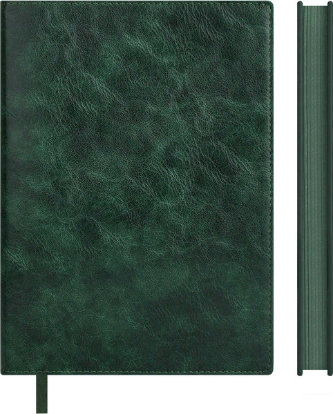 Изображение товара Ежедневник Escalada Фланстэр / 73790 (160л, зеленый)