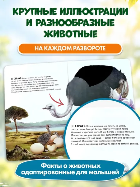 Изображение товара Развивающая книга Эксмо Рассмотри и погладь! Панда (9785042239779)