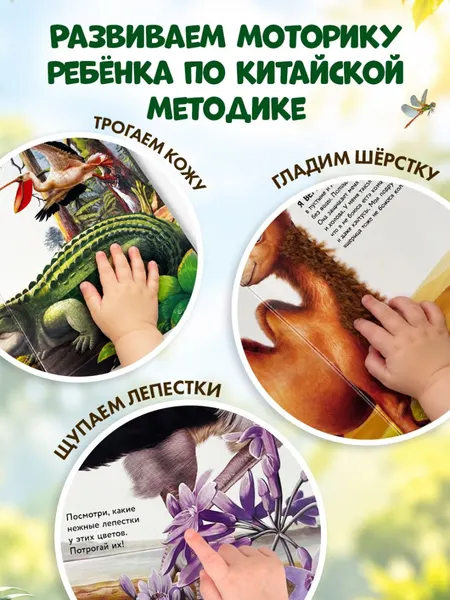 Изображение товара Развивающая книга Эксмо Рассмотри и погладь! Панда (9785042239779)