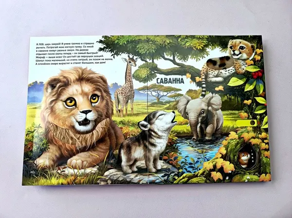 Изображение товара Книжка-панорамка Эксмо Рассмотри и погладь! Попугай (9785042239762)