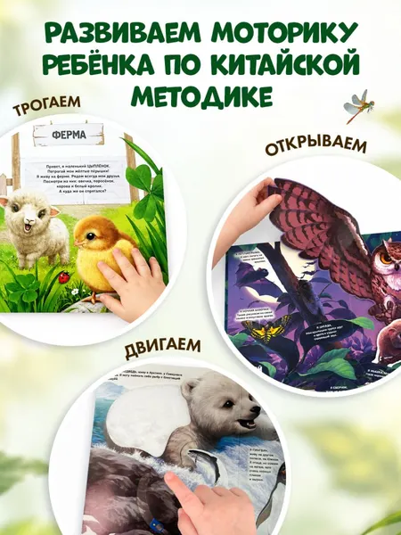 Изображение товара Книжка-панорамка Эксмо Рассмотри и погладь! Попугай (9785042239762)