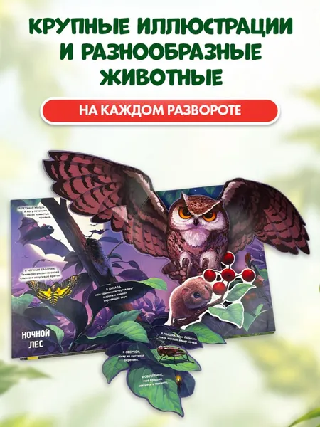 Изображение товара Книжка-панорамка Эксмо Рассмотри и погладь! Попугай (9785042239762)