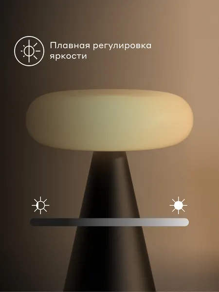 Изображение товара Интерьерная настольная лампа Pragma Lums с регулировкой яркости MTL_P_B-2 (черный)