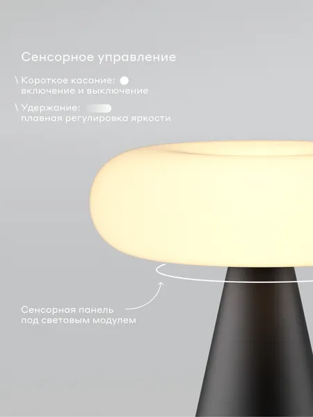 Изображение товара Интерьерная настольная лампа Pragma Lums с регулировкой яркости MTL_P_B-2 (черный)