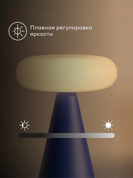 Изображение товара Интерьерная настольная лампа Pragma Lums с регулировкой яркости MTL_P_DB-2 (синий)