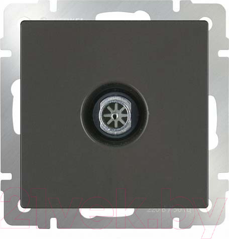 Изображение товара Розетка Werkel WL08-TV-2W / a033758 (черный матовый)