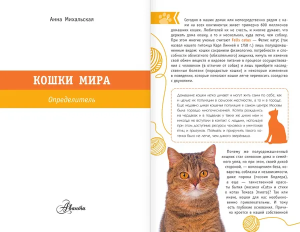 Изображение товара Энциклопедия АСТ Кошки мира. Определитель, интегральная обложка (Михальская Анна)