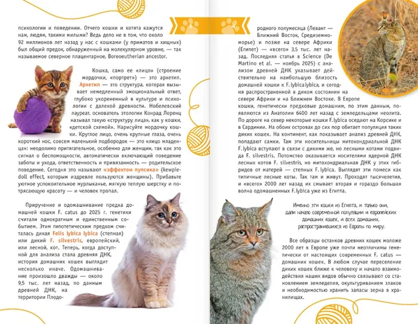 Изображение товара Энциклопедия АСТ Кошки мира. Определитель, интегральная обложка (Михальская Анна)