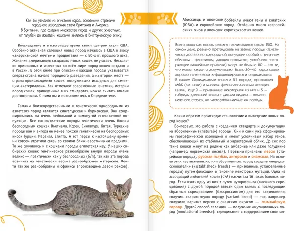 Изображение товара Энциклопедия АСТ Кошки мира. Определитель, интегральная обложка (Михальская Анна)
