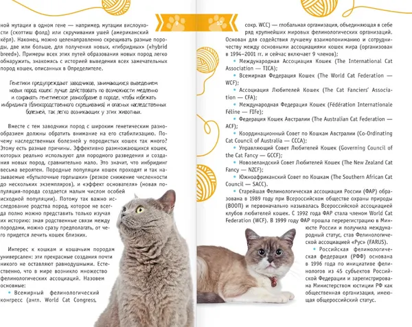 Изображение товара Энциклопедия АСТ Кошки мира. Определитель, интегральная обложка (Михальская Анна)