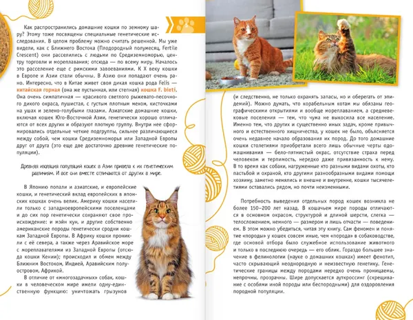 Изображение товара Энциклопедия АСТ Кошки мира. Определитель, интегральная обложка (Михальская Анна)