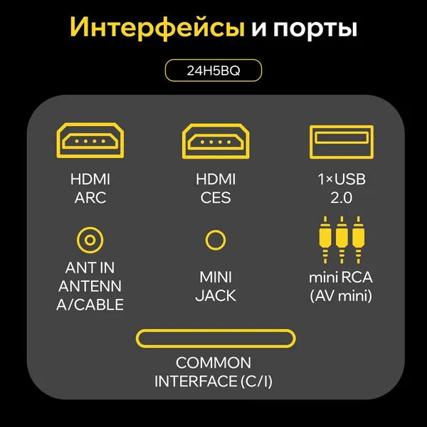 Изображение товара Телевизор QUANTUM 24" 24H5BQ