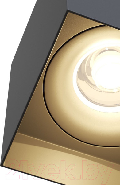 Изображение товара Потолочный светильник Maytoni Alfa C015CL-01B