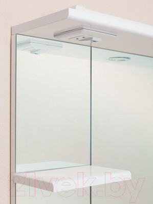 Изображение товара Шкаф с зеркалом для ванной Onika Эльбрус 90.02 R (209004)