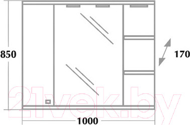 Изображение товара Шкаф с зеркалом для ванной Onika Эльбрус 100.02 R (210004)