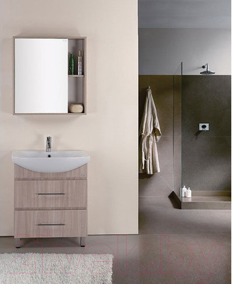 Изображение товара Шкаф с зеркалом для ванной Onika Дельта 60.00 У (206060)